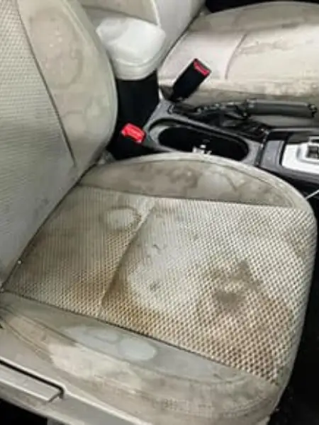 Before image alt